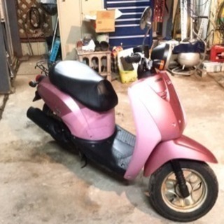 ホンダトゥデイAF61(自賠責保険付き)