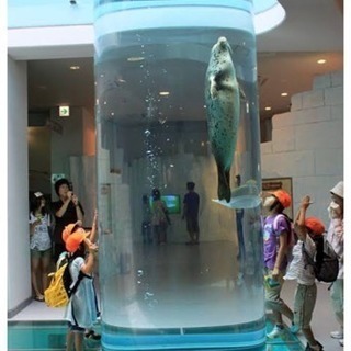 動物園 水族館 博物館 美術館 好き 募集