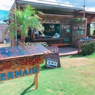 マリンスタッフ大募集！の画像