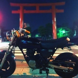 エイプ50 の画像