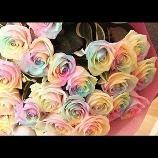 メンタルグルチャ新規募集〜⸜♡⸝⸜♡⸝ - メンバー募集