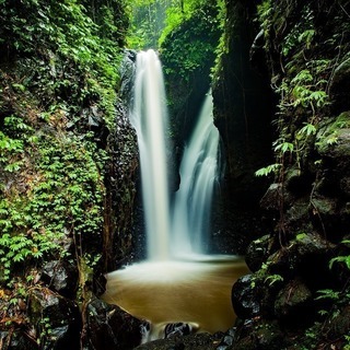 BACK　TO　THE　NATURE