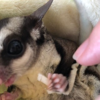 決まりました。ありがとうございます。