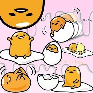 ☆再投稿☆引越しのための断捨離