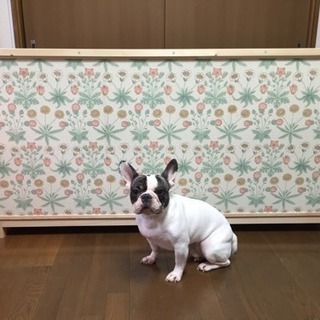 キッチンカウンターの画像
