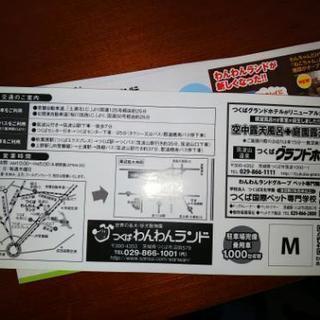 つくばわんわんランドの画像
