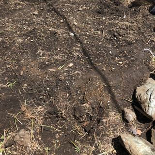 土（ガーデニング用）差し上げます！の画像