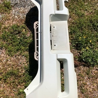 まだ綺麗ですの画像