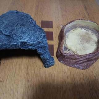 中古）爬虫類・両生類等の飼育用品