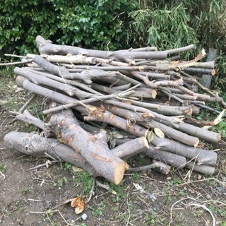 薪にどうですか