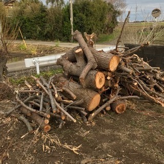 薪にどうですかの画像