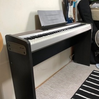 casio px-120 わんちゃんおらごん様
