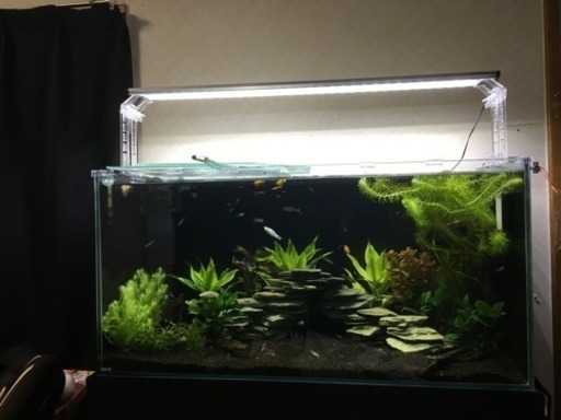 90cm水槽レイアウトセット