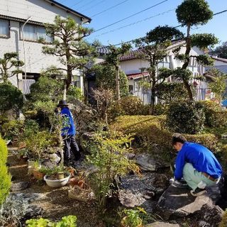 高知県内出張　植木屋です。東から西へお伺い致します。剪定、草刈り、お庭に関する事ご相談ください。年中無休にて見積りお伺い致します。遠方の方もお気軽にご相談ください。お庭お手入れ千樹園は年間200件の作業実績あります！TEL08056636000迄 - 地元のお店