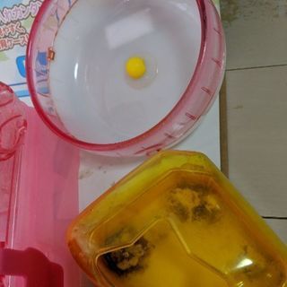 ハムポット他③の画像