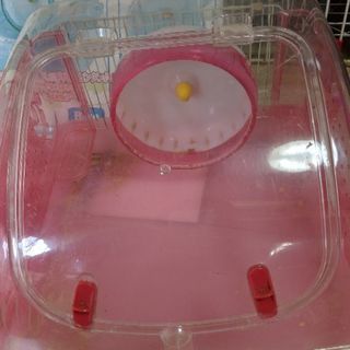 ハムポット④の画像