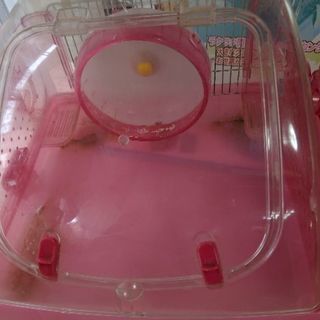 ハムポット④の画像