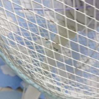 扇風機 YAMAZEN 2013年製の画像