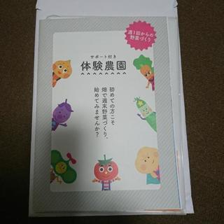 体験農園 シェア畑の使用権利をお譲りします - 江戸川区