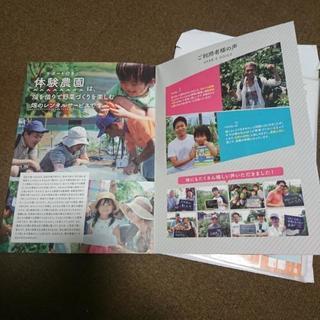 体験農園 シェア畑の使用権利をお譲りします - シェアハウス