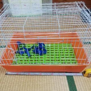 ゲージ