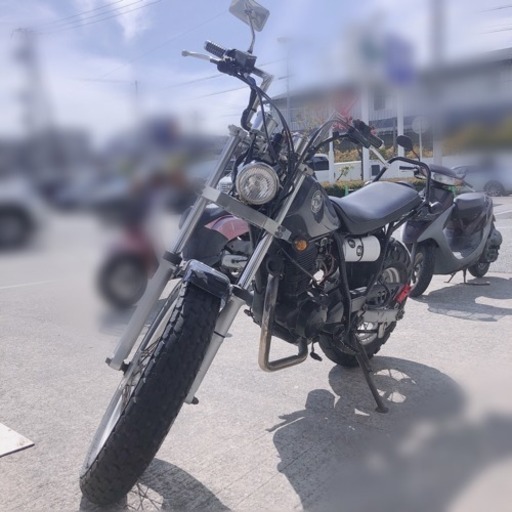 ✩YAMAHA TW200✩スカチューン 自賠責31年8月まで
