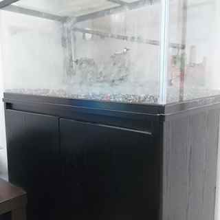 【受け渡し調整中】120センチ水槽＋台