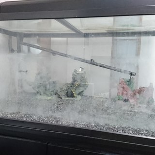 【受け渡し調整中】120センチ水槽＋台の画像
