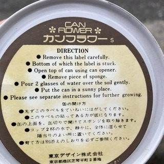 カンフラワー ホウセンカの画像