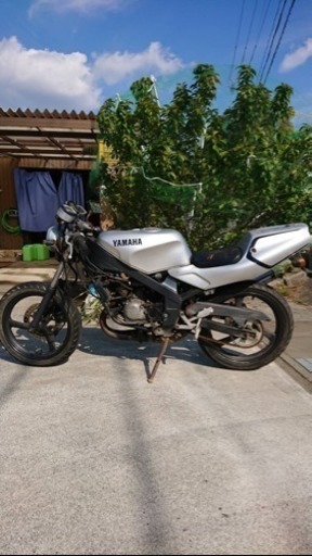 （取引中）YAMAHA TZR50R