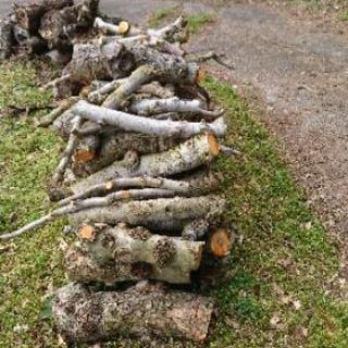 まき差し上げますの画像