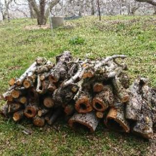 まき差し上げますの画像