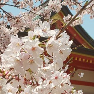 ○英文法／基礎英語学習全般のサポート
