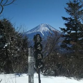 山友募集