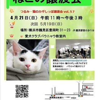 横浜　つるみ・猫のカギしっぽ譲渡会　（JR鶴見西口より歩５分）室内開催の画像