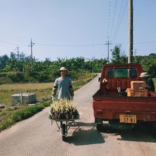 諏訪ノ森　植木屋はじめました - 堺市