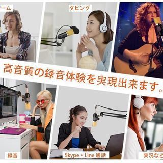 コンデンサーマイク 卓上PCマイク エコー機能の画像