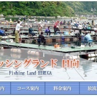 福井県の海上釣り堀(4h、5400円のコース)に行きませんか？②...