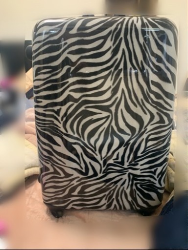 hideo wakamatsu  スーツケース