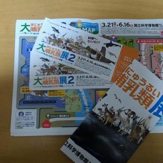 国立科学博物館のペア！チケット定価1600円