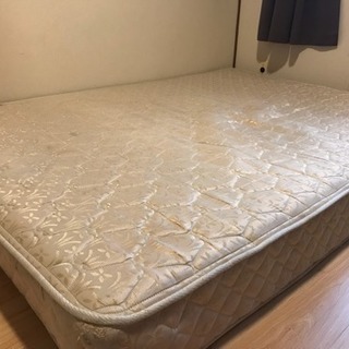 ドタキャンの為再度募集※お取引中