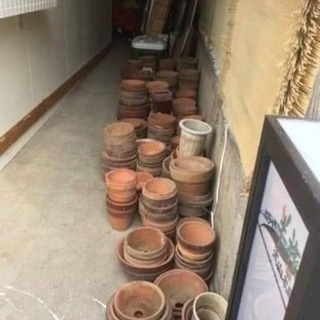 鉢植え 30-100個