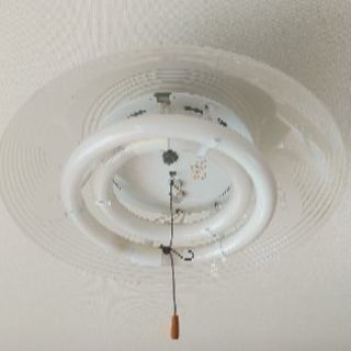 値下げ！　電球傘　白の画像