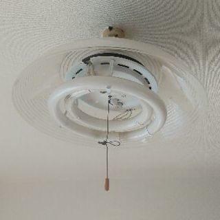 値下げ！　電球傘　白の画像
