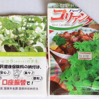 花の種/葉物野菜の種(使い残し)の画像