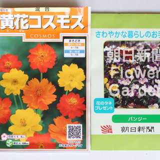 花の種/葉物野菜の種(使い残し)の画像