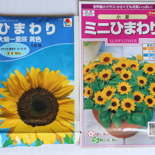 花の種/葉物野菜の種(使い残し)