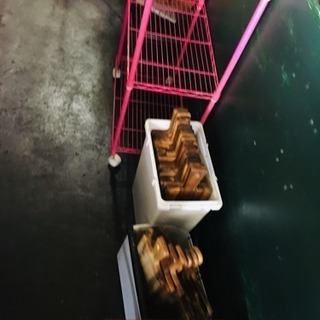 飲食店閉店に伴い出品いたします。