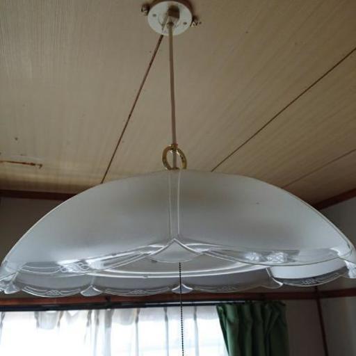 電気かさ2セット