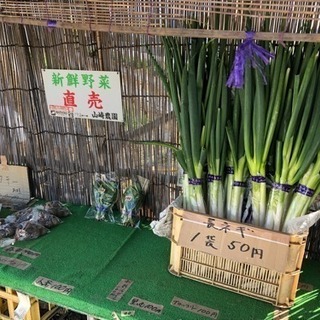 長ねぎ直売一袋50円で販売の画像